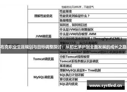 布克职业生涯规划与目标调整探讨:从初出茅庐到全面发展的成长之路 布克职业生涯规划与目标调整探讨:从初出茅庐到全面发展的成长之路